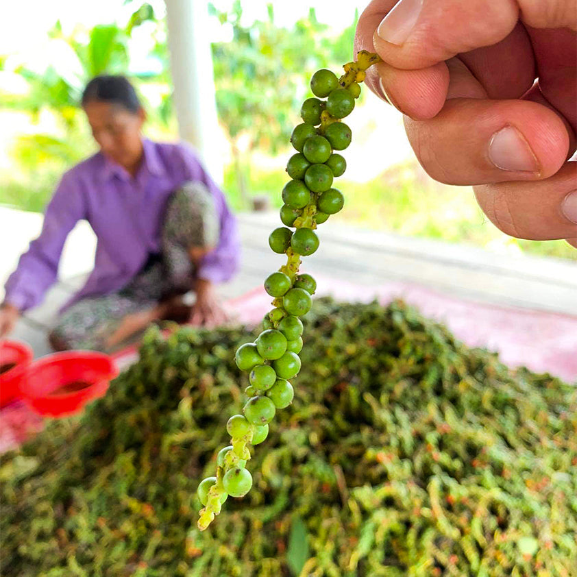 5 surovin, se kterými si pepř nečekaně rozumí