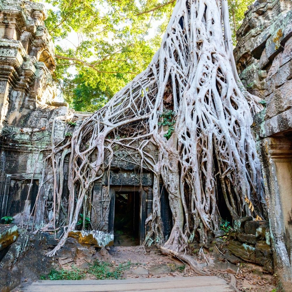 Které posvátné místo v Kambodži proslavila Angelina Jolie?