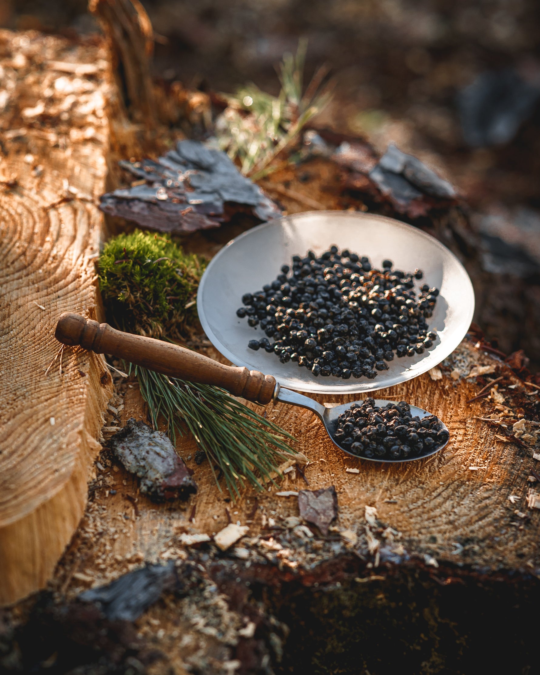 Povídání o tom, že není pepř jako pepř