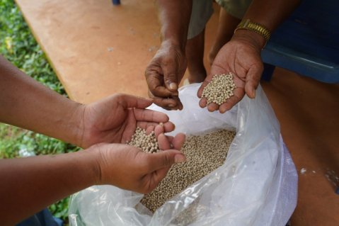 CzechCrunch: Stačilo pět let a z českého páru jsou největší vývozci Kampotského pepře na světě