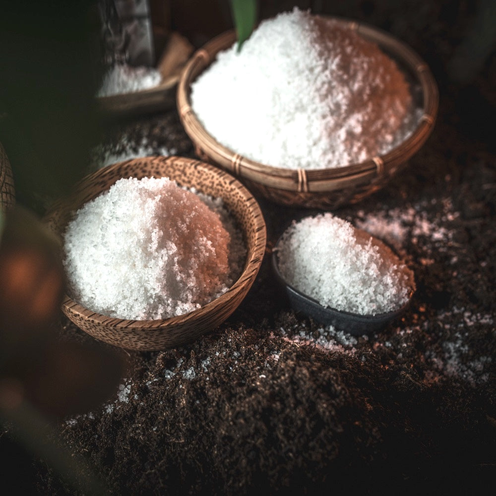 Proč je Fleur de Sel lepší než klasická kuchyňská sůl?