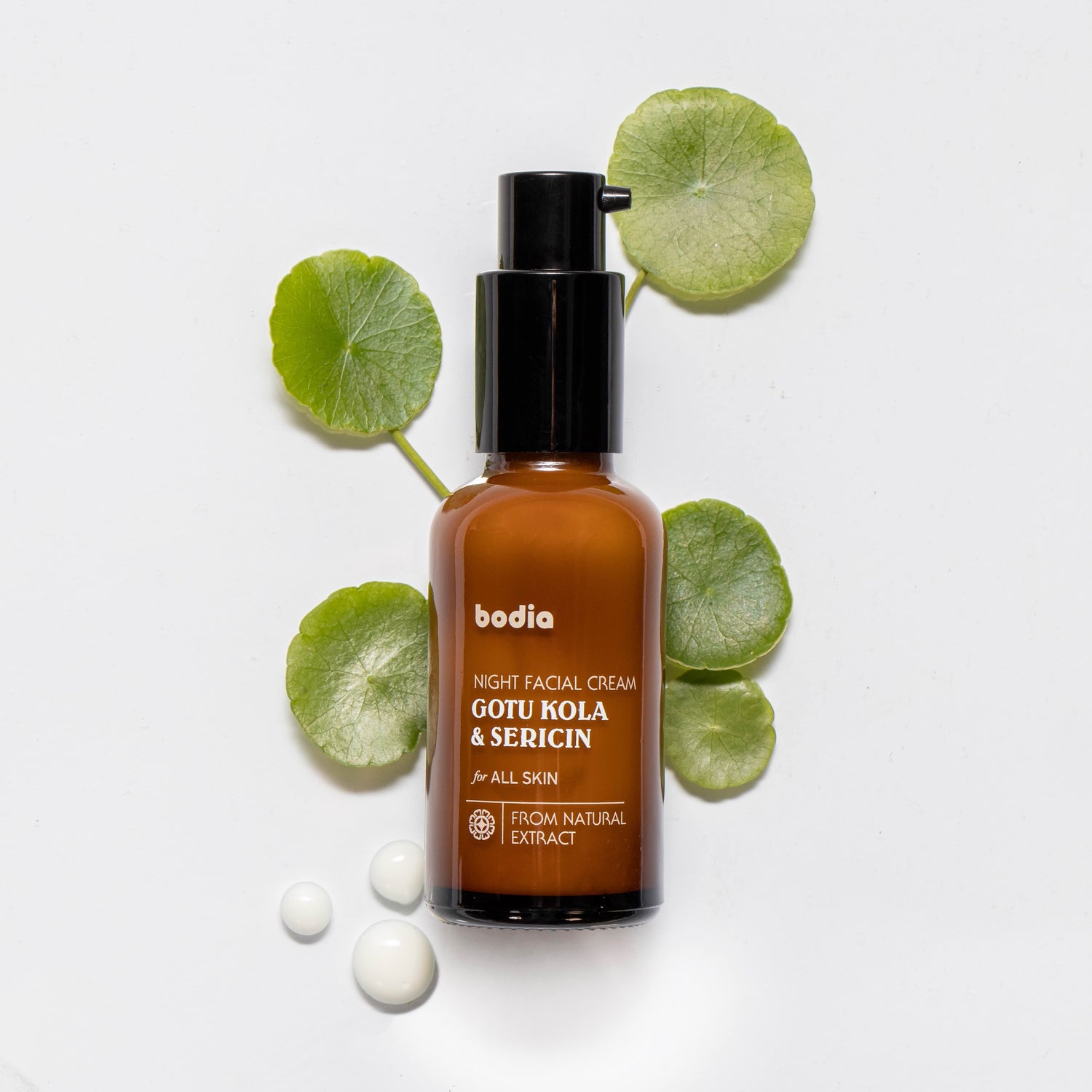 Bodia Night Cream – Centella Asiatica & Silk Protein 